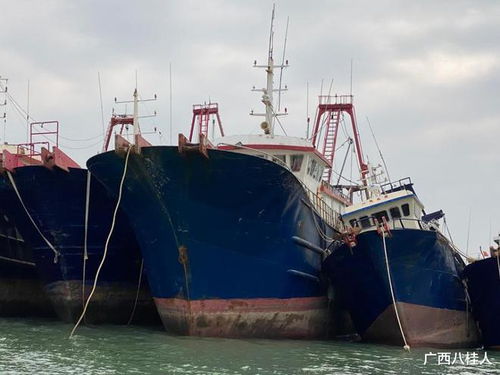 花296万,买一艘大型法拍渔船,在北海做船老大,不知道值不值
